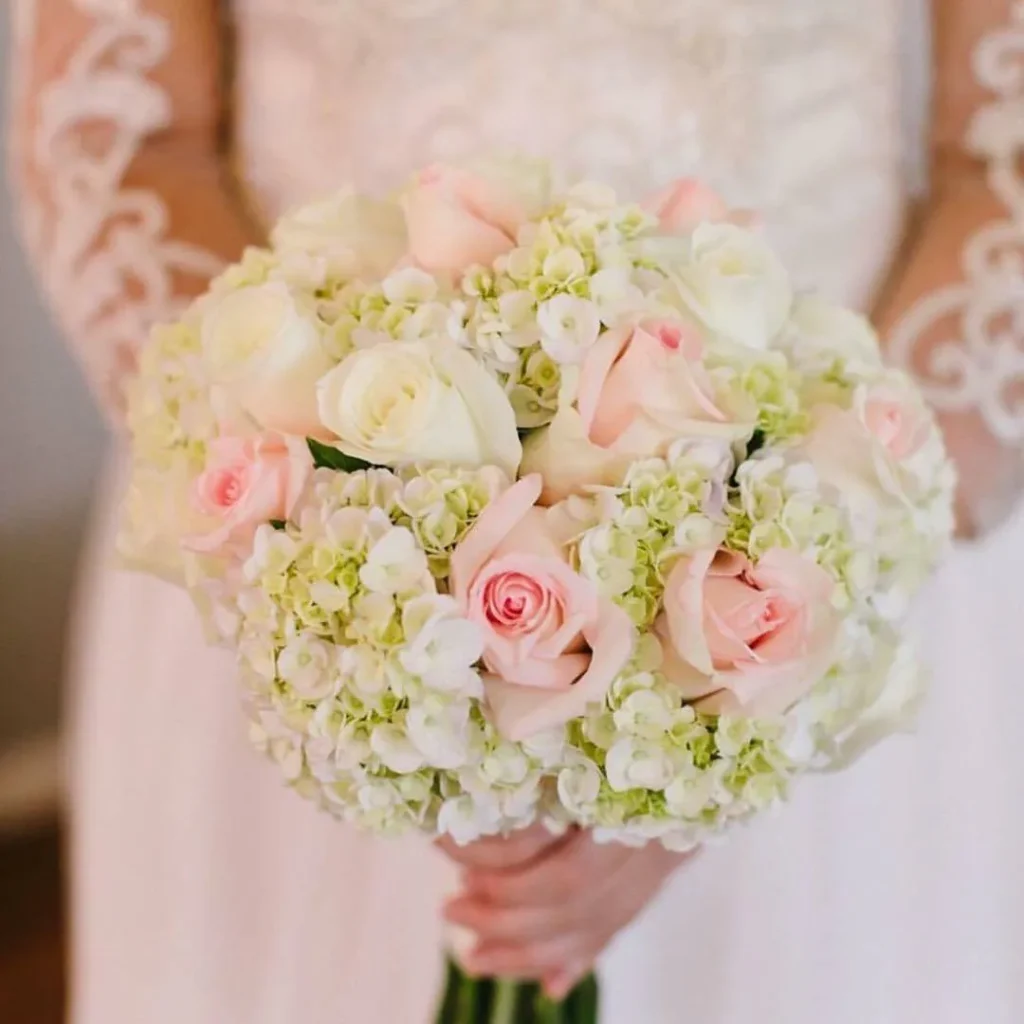 Close view of a bride holding a round bouquet of pale pink and ivory roses with small white flowers.